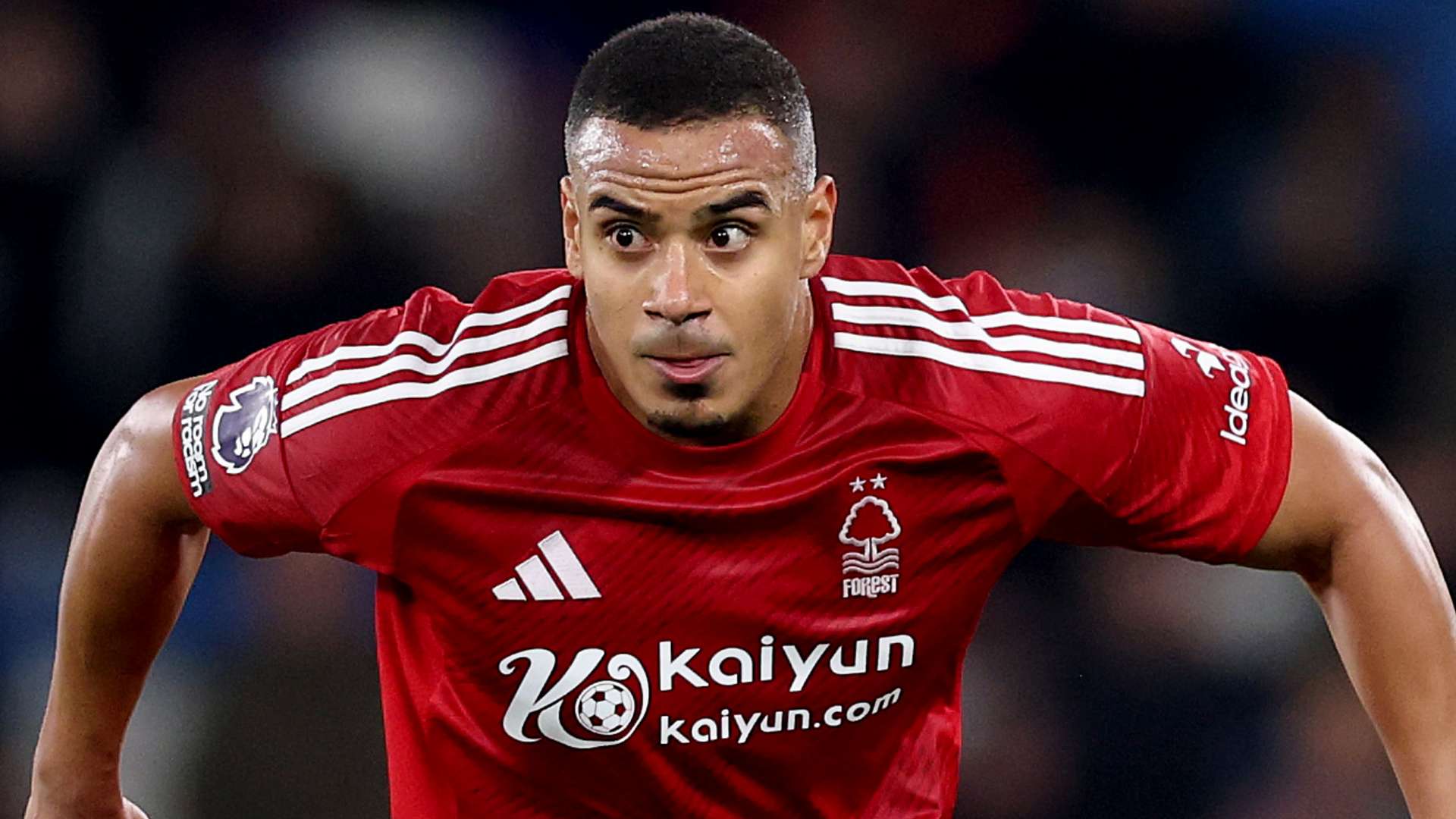 并未选择退 并未选择退